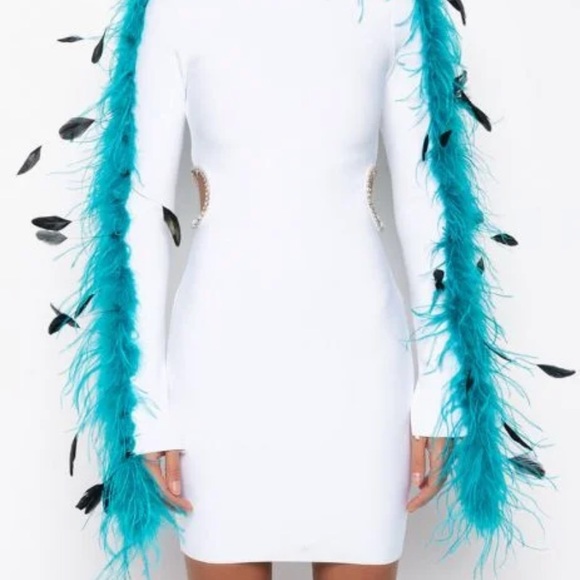 🆕🆕🔥🔥In It To Win It Real Feather Bandage Dress🔥🔥 - Picture 5 of 8